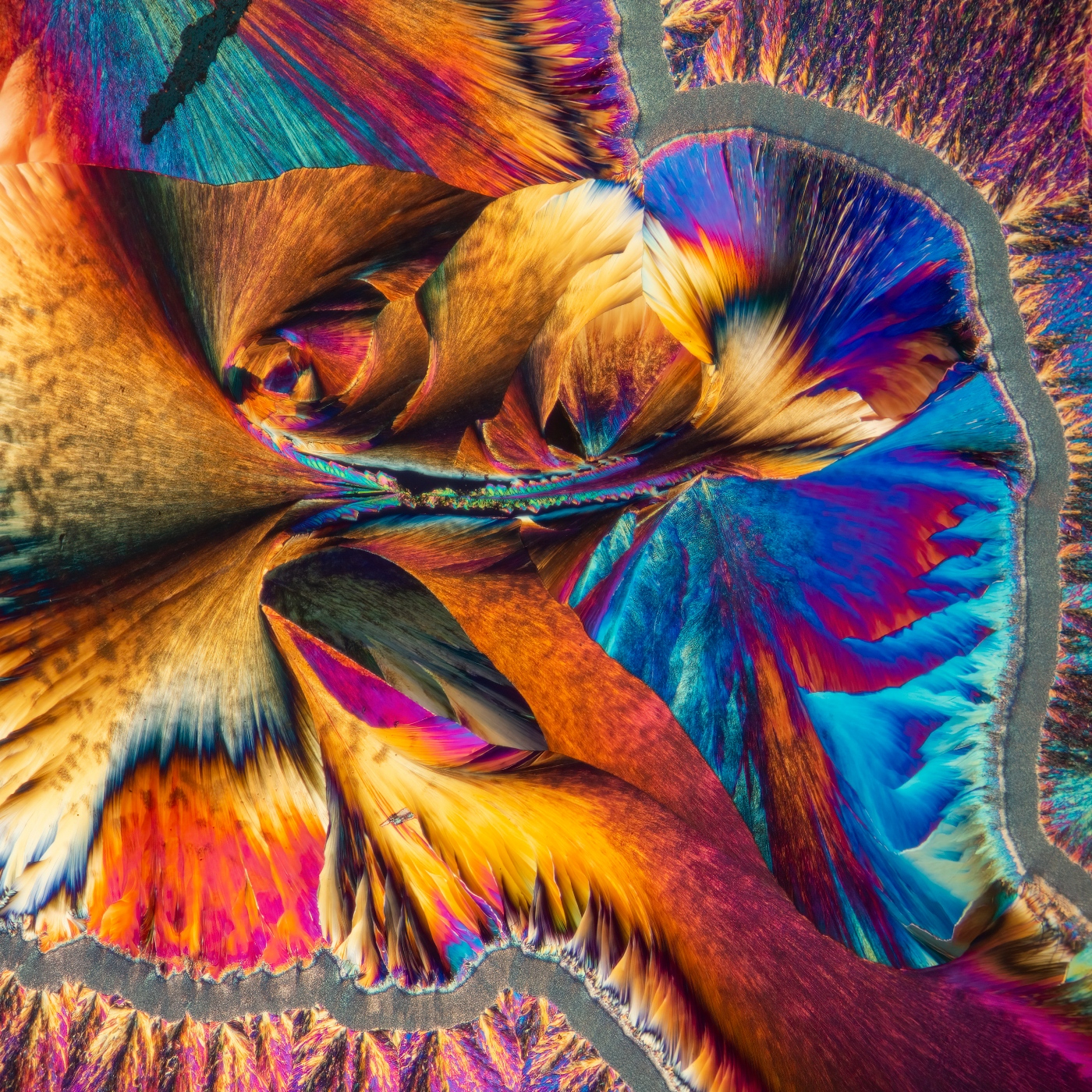 Fotciencia18