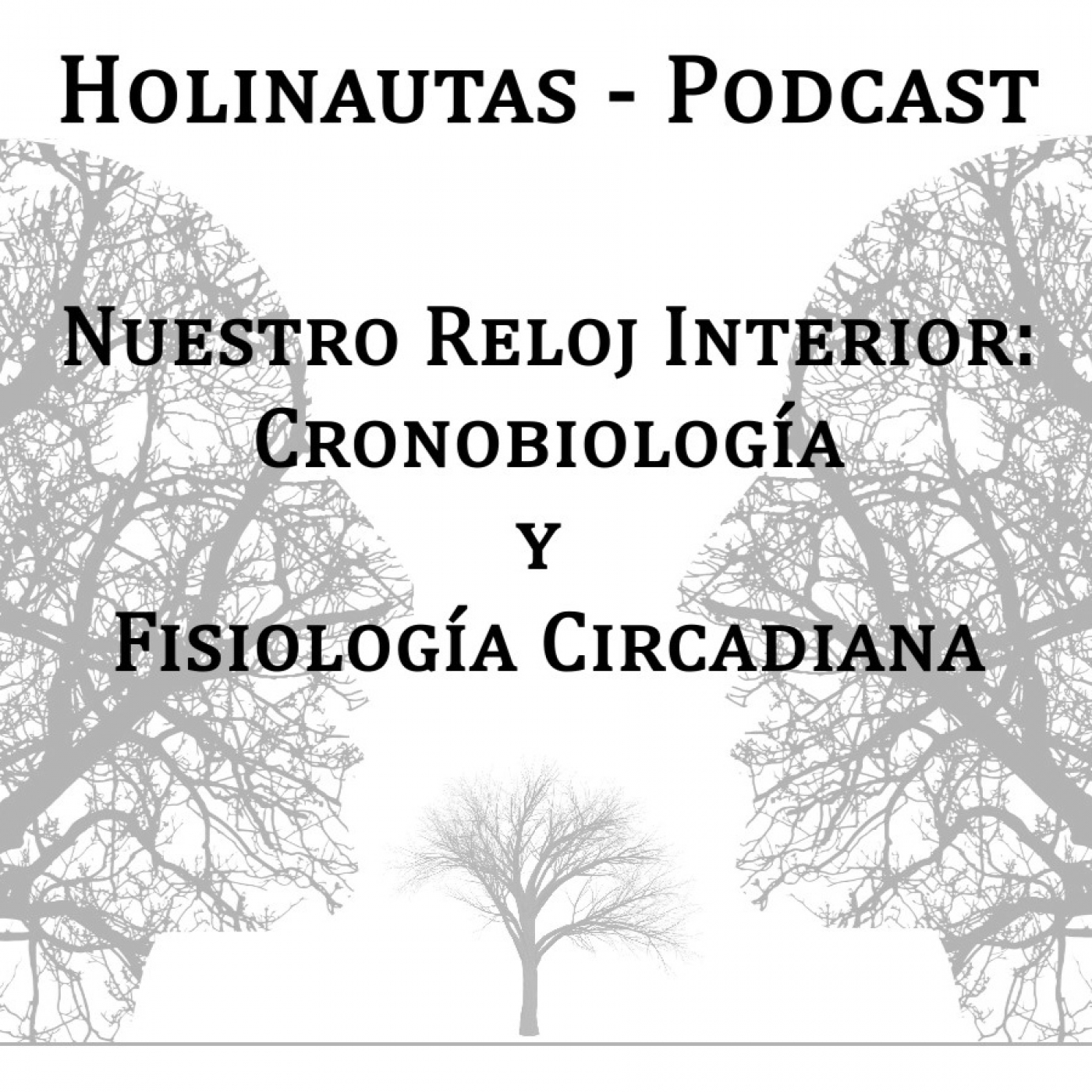 Holinautas