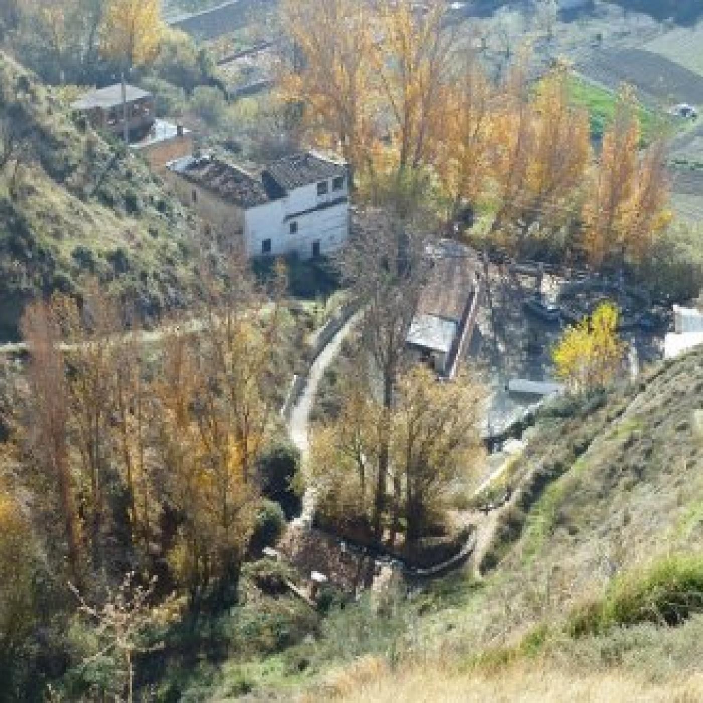 NOTICIERO DEL COLE