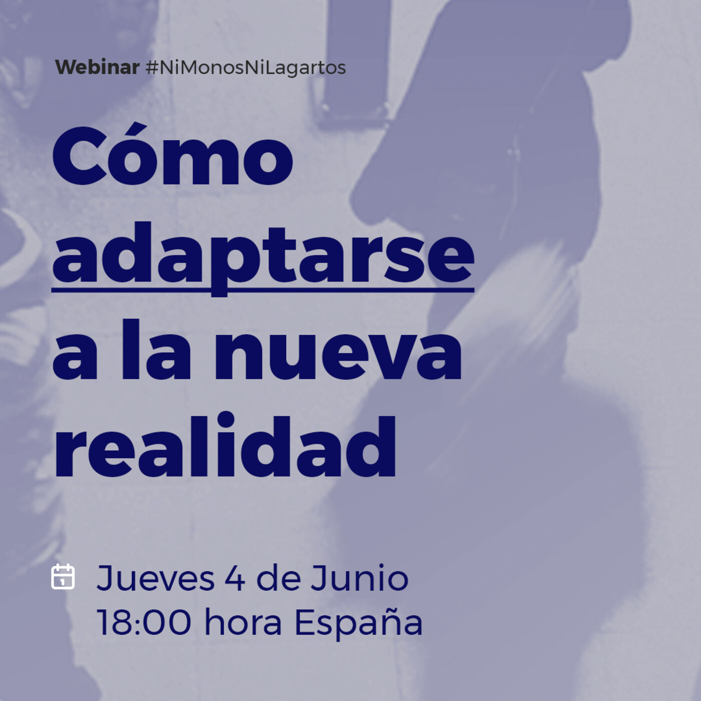 Ni Monos Ni Lagartos