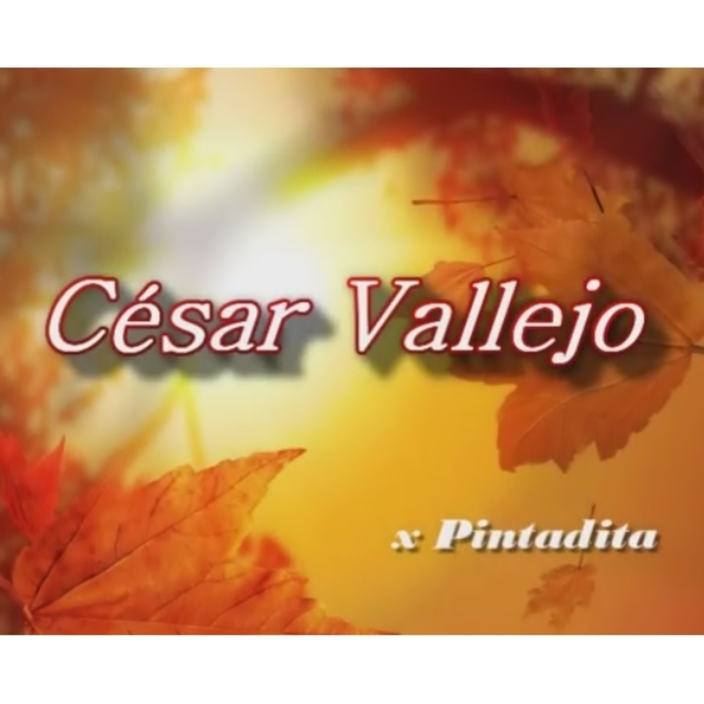 Poesía del Mundo
