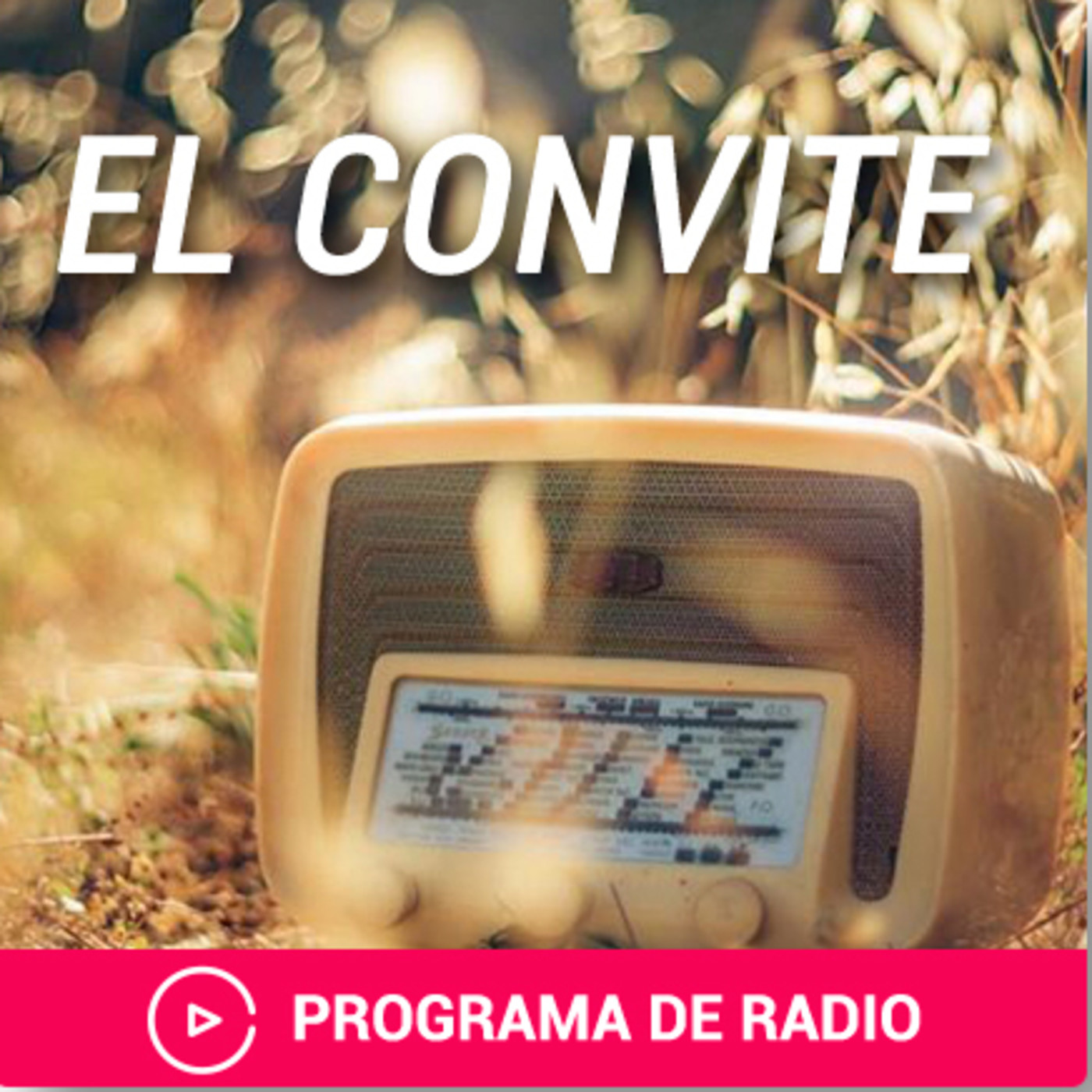 Música e infancia. episode artwork