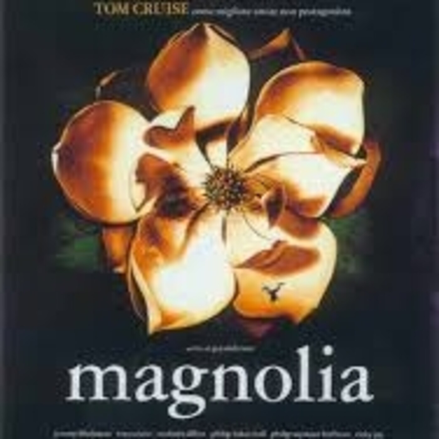 NADIE AL VOLANTE x1 -LA LINTERNA MÁGICA - Magnolia