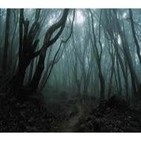 Goblin- Black Forest