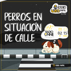 T02E02. Perros en situación de calle