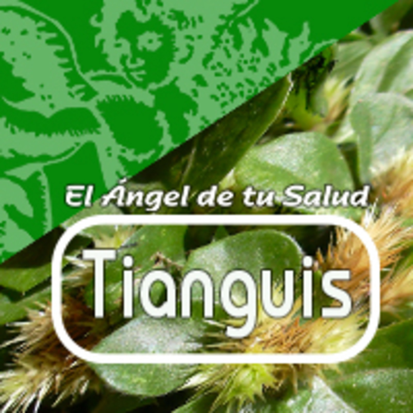El Angel de tu Salud - TIANGUIS*** episode artwork