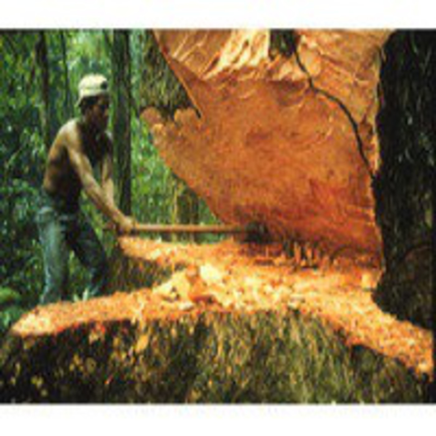 Programa Línea de Fuego