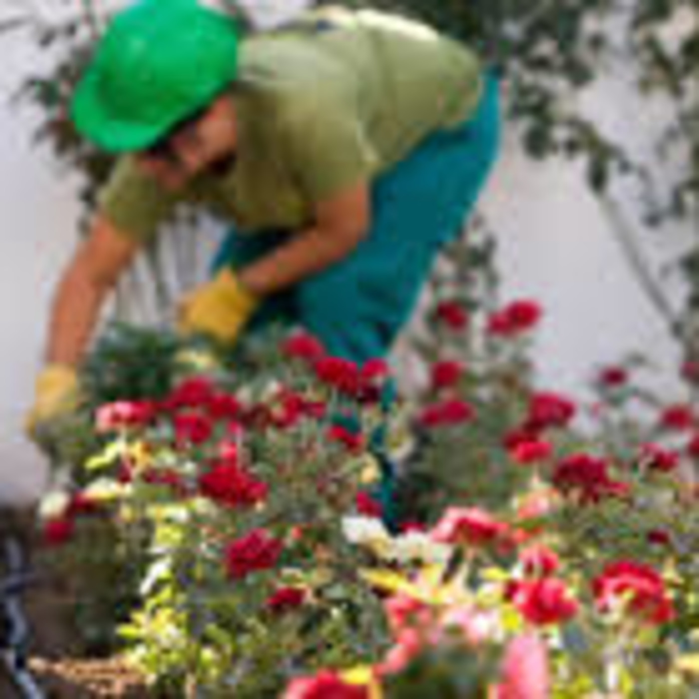 Podcast de agendadeeventos