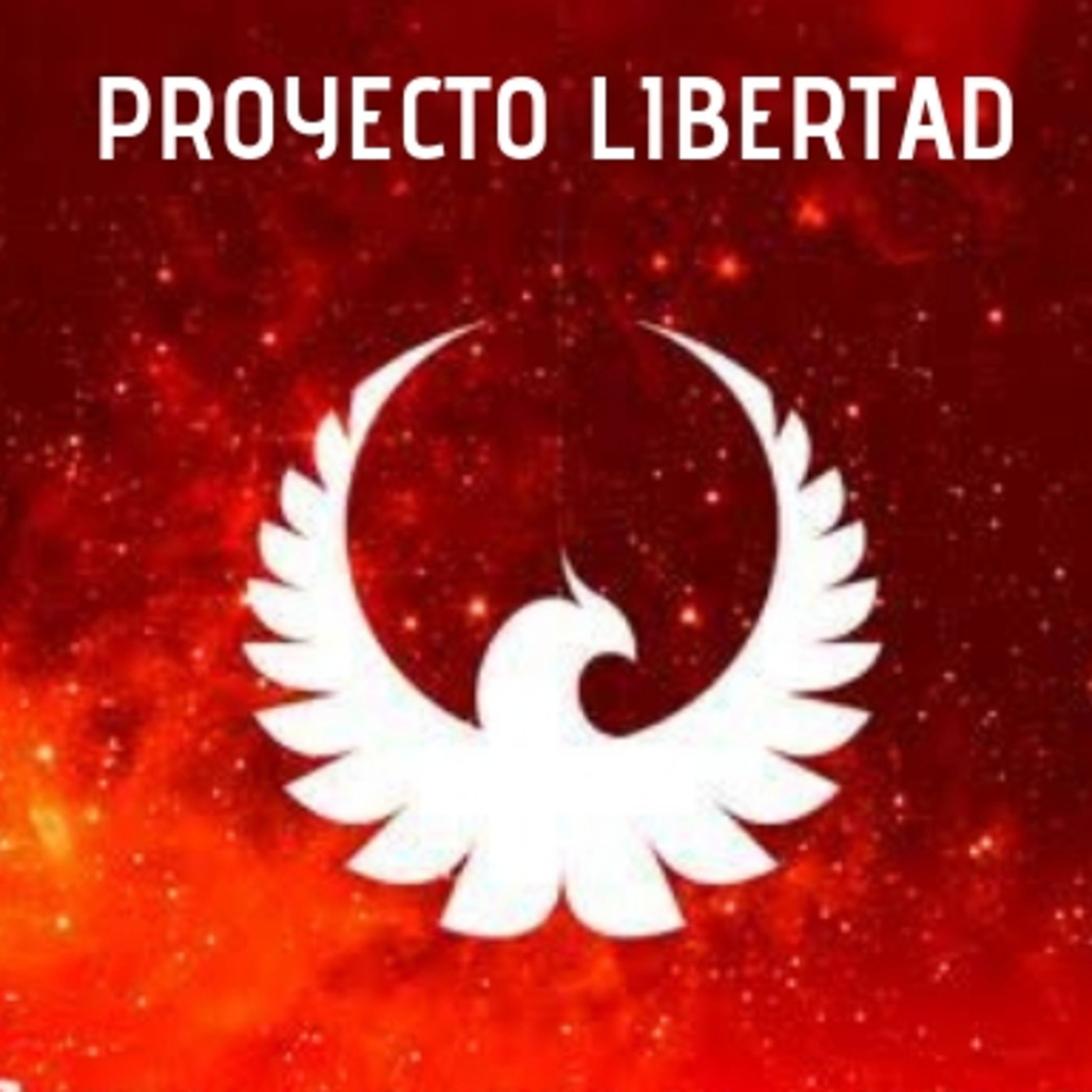 SEMINARIO FENIX