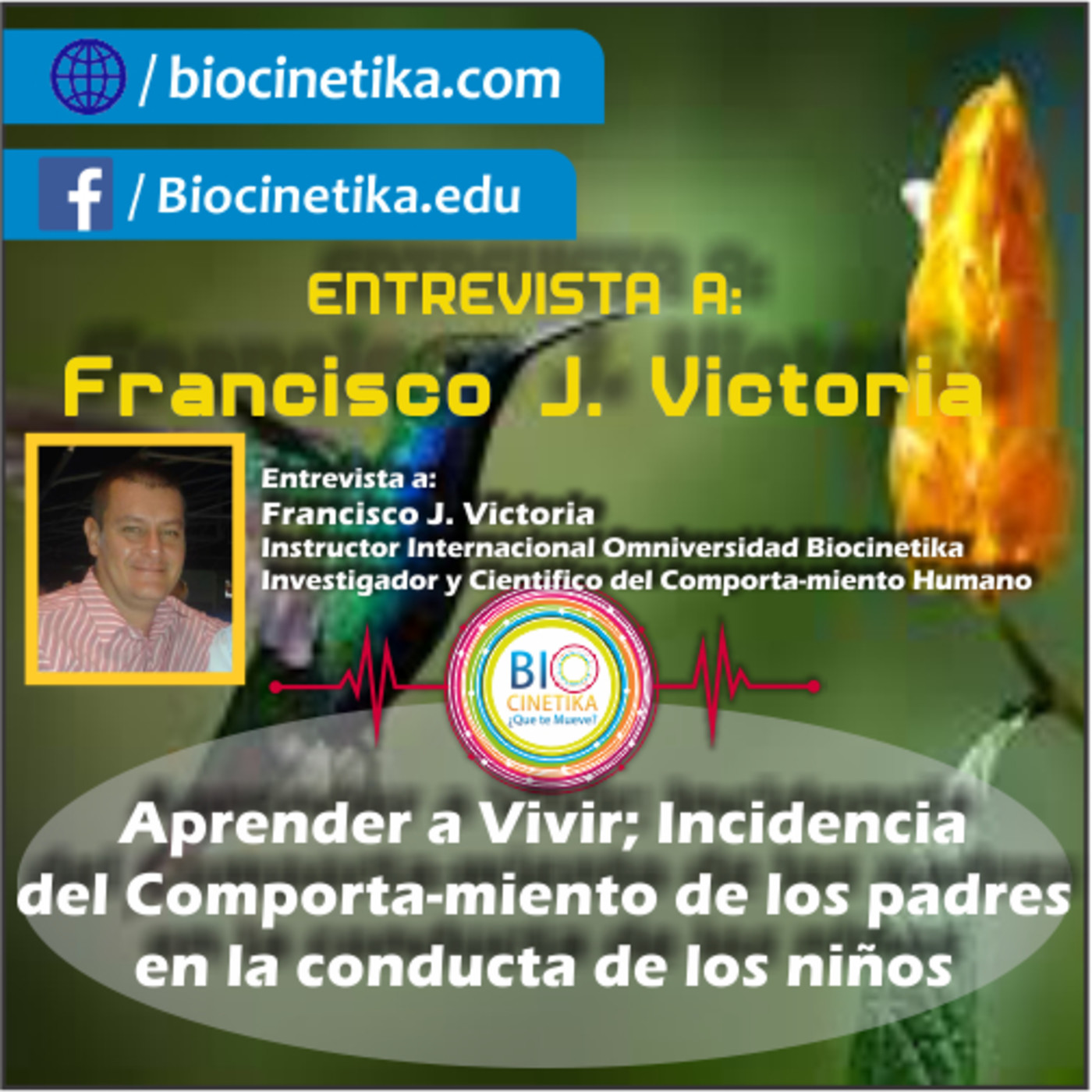 Biocinetika El Arte de Aprendernos