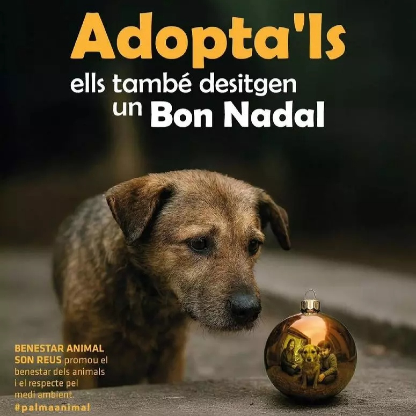 98216e9aab7f64268724bdfe9f490cfc XXL esRadio Baleares