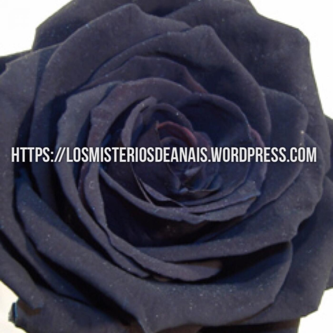 LOS MISTERIOS DE ANAIS