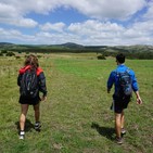 Hojas y Piedras - Programa 15: Entrenamiento (Reflexiones - Parte I)