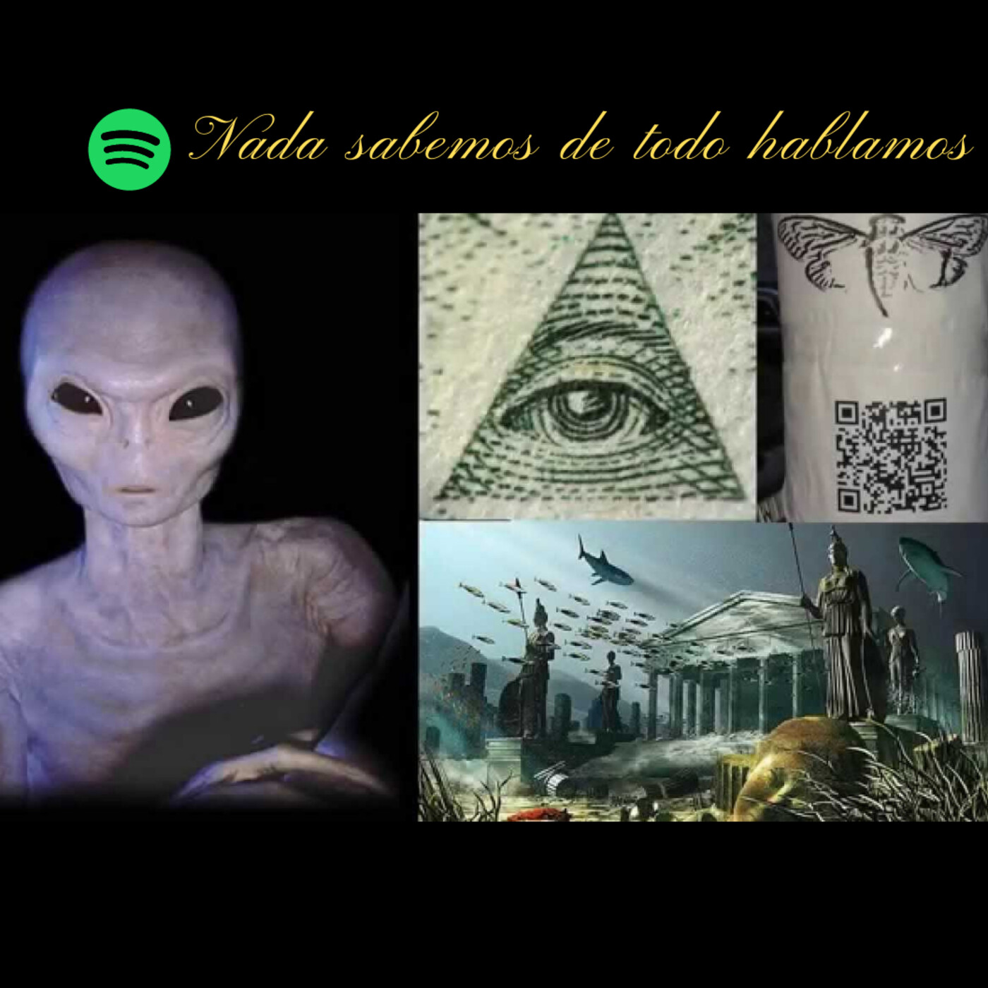 Nada sabemos de todo hablamos!!!