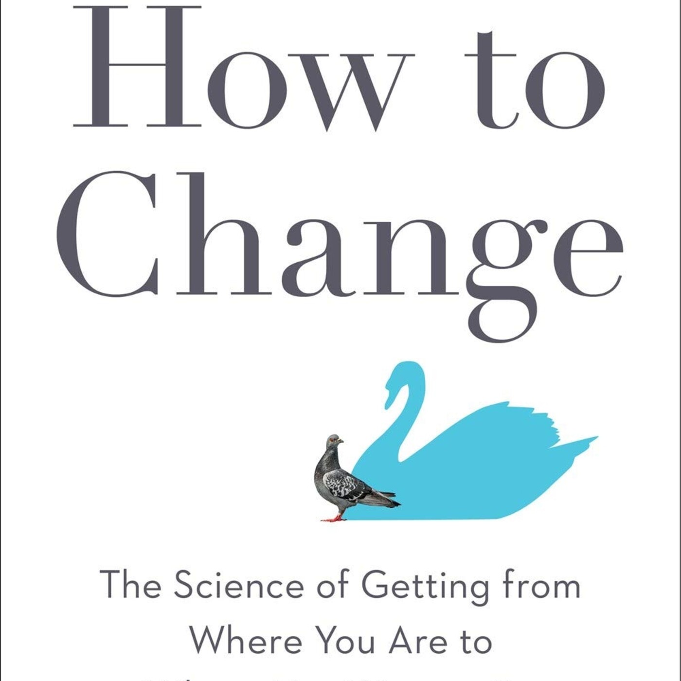 Salvador Mingo -Conocimiento Experto-