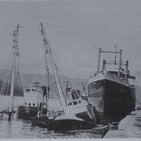 Arredor de nós: Os cazadores de baleas