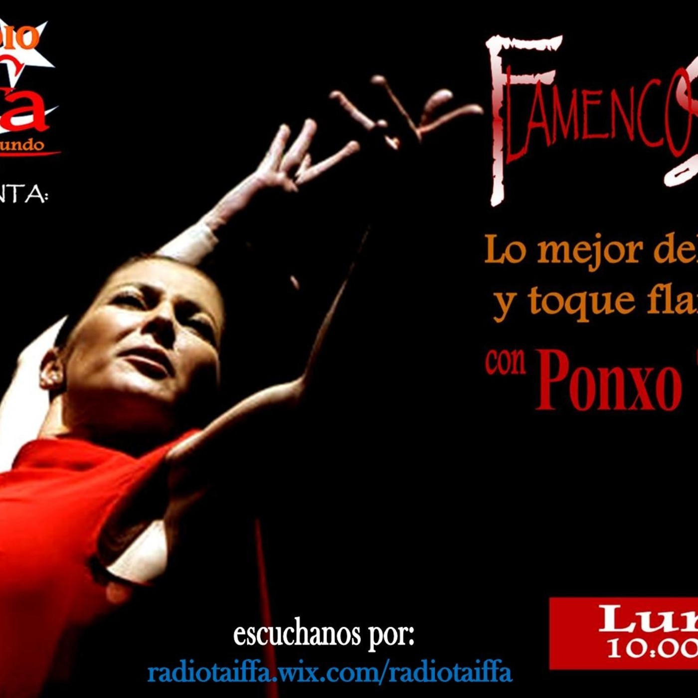 FLAMENCO SOY