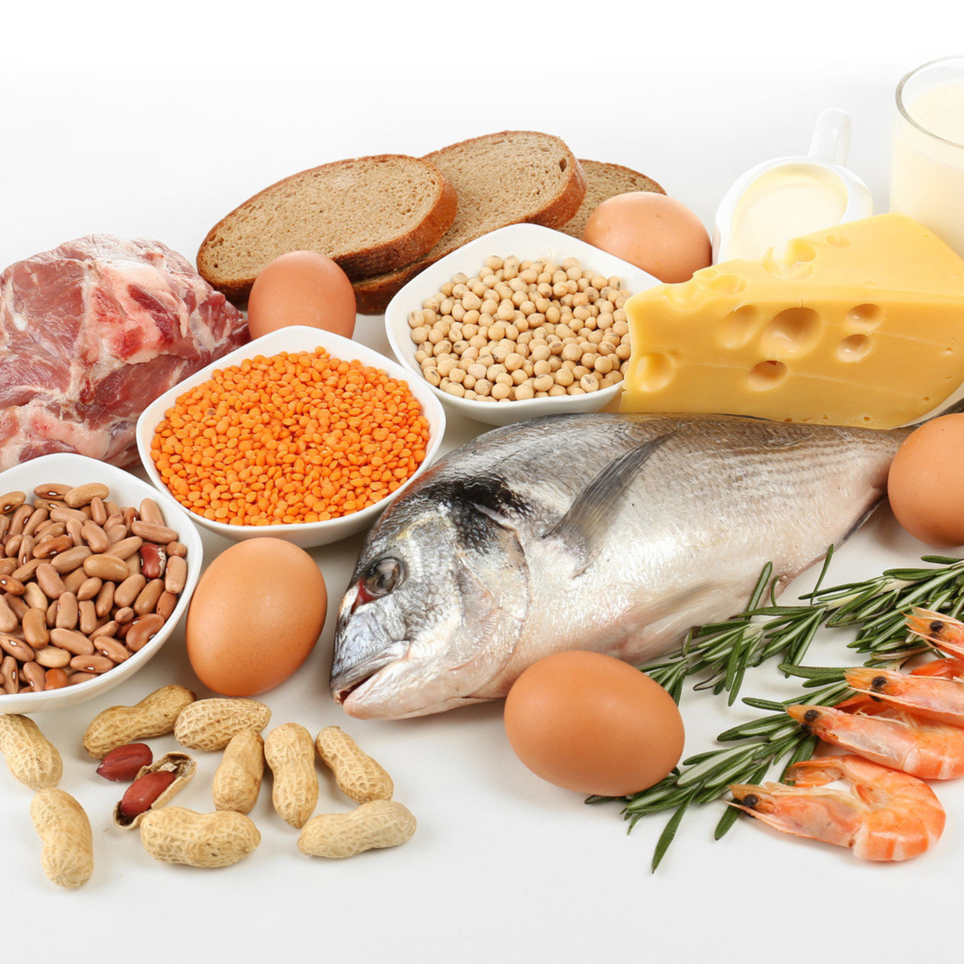 Tarde Interactiva - Nutrición