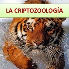Sobre la Criptozoologia y animales extraños (12 de junio de 2019).