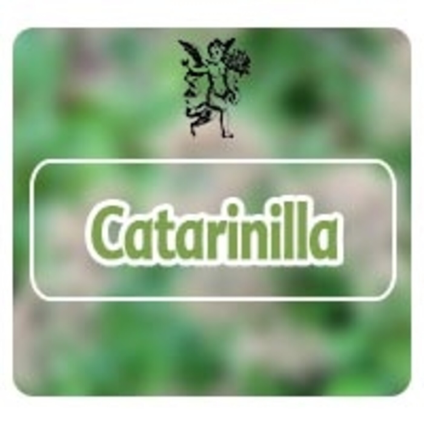 El Angel de tu Salud - CATARINILLA* episode artwork