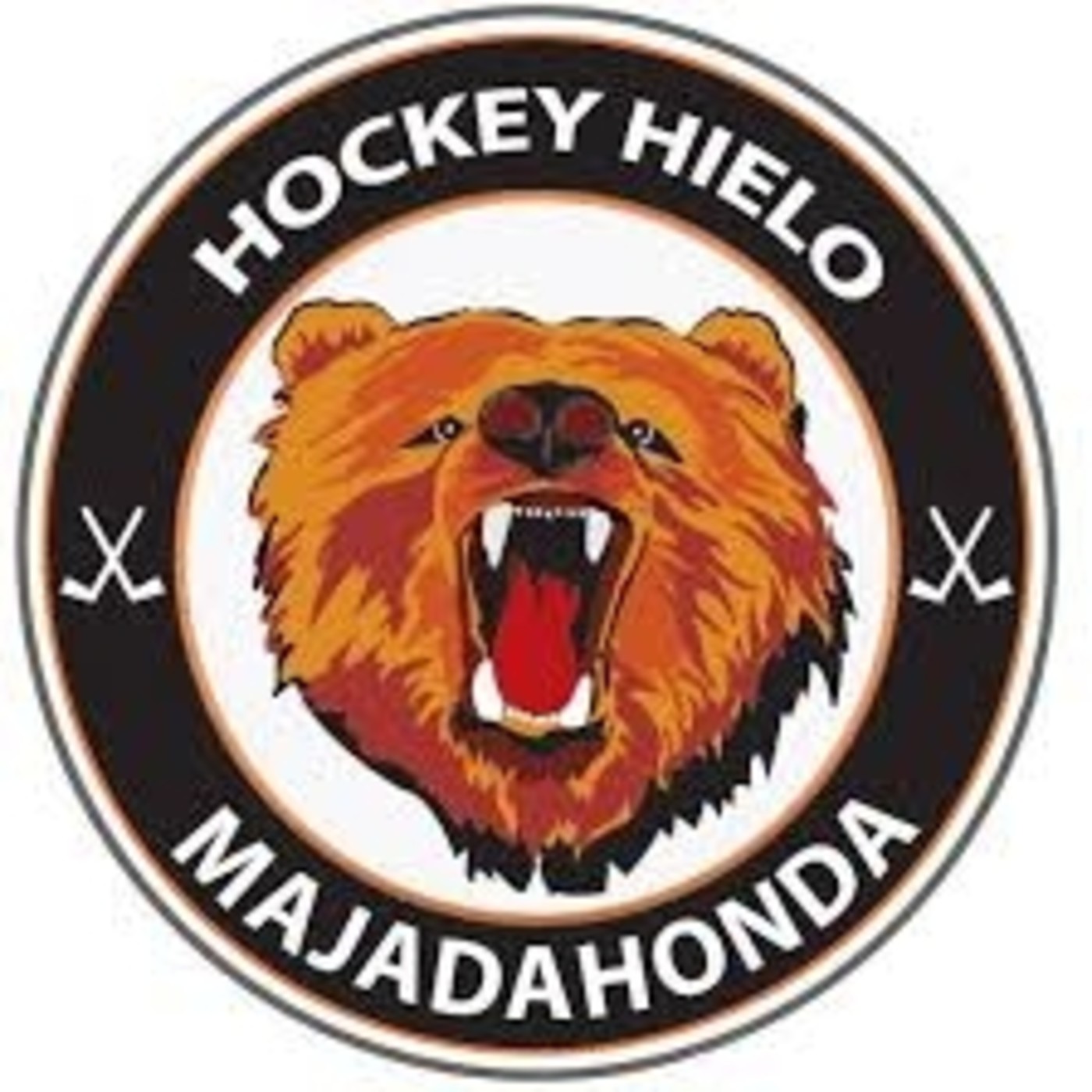 Hockey Hielo: La afición del Majadahonda confía en la vuelta ante Txuri (1-2) episode artwork