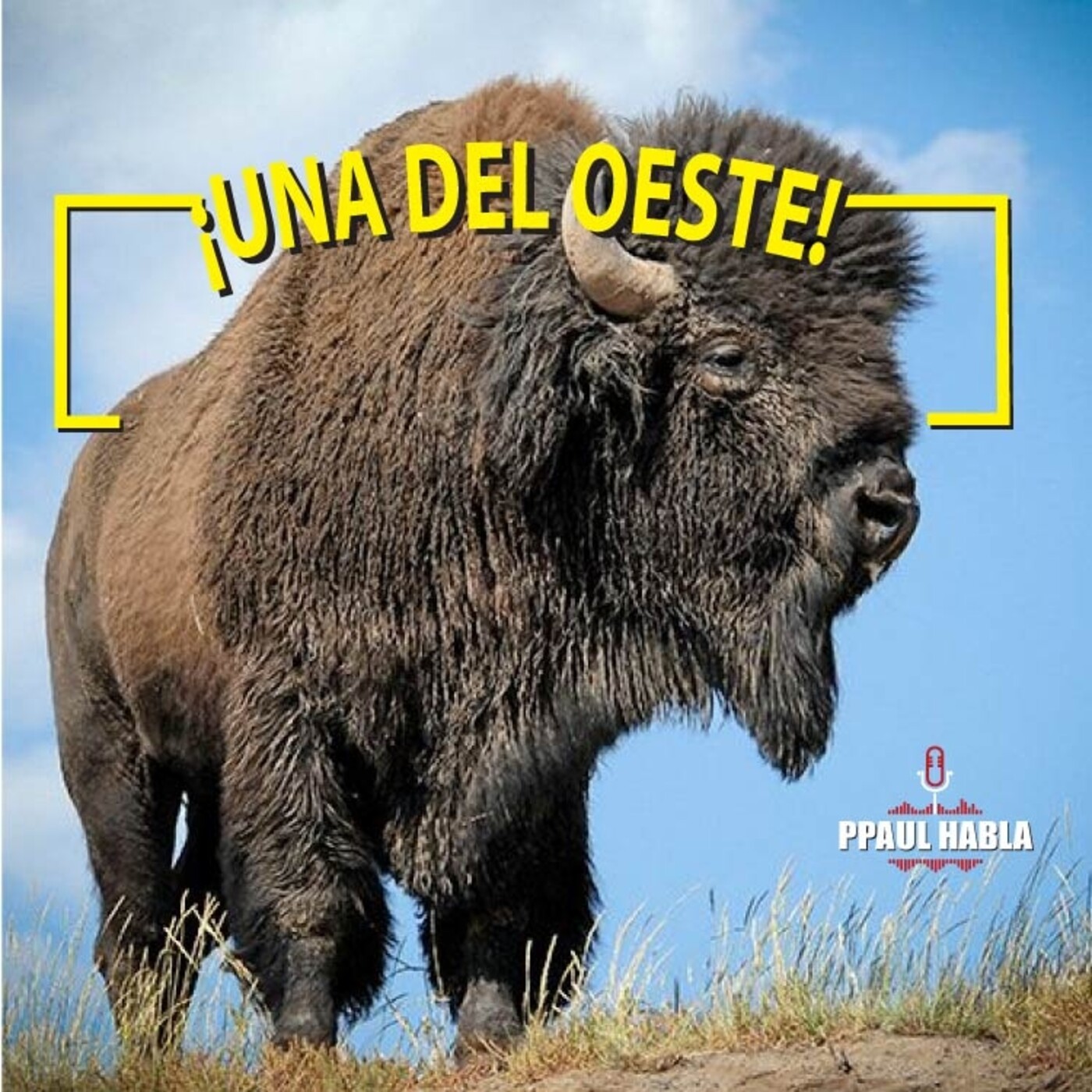 PPAUL HABLA