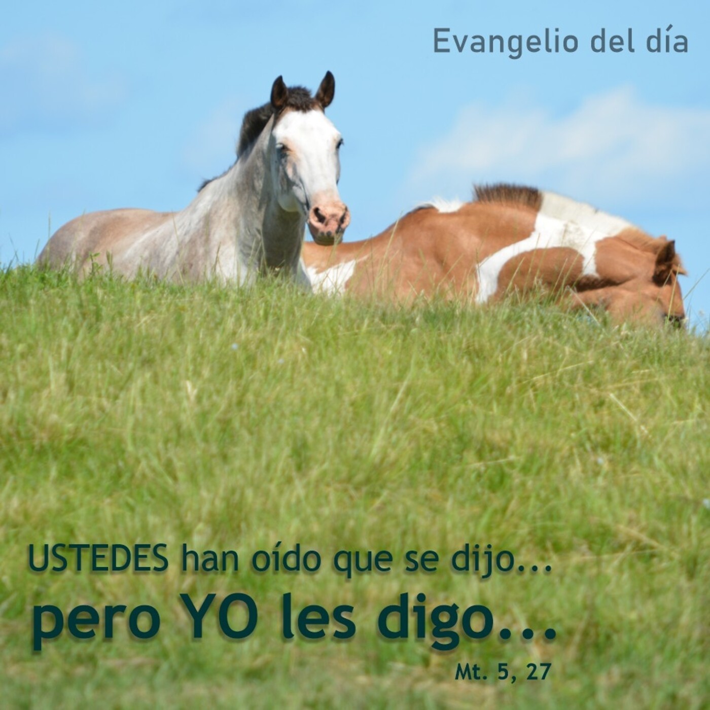 12 de junio de 2020