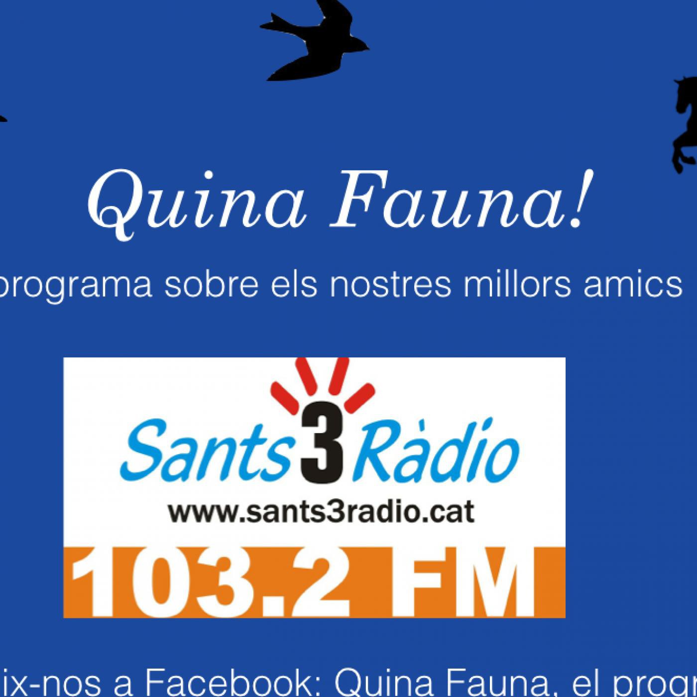 Quina Fauna