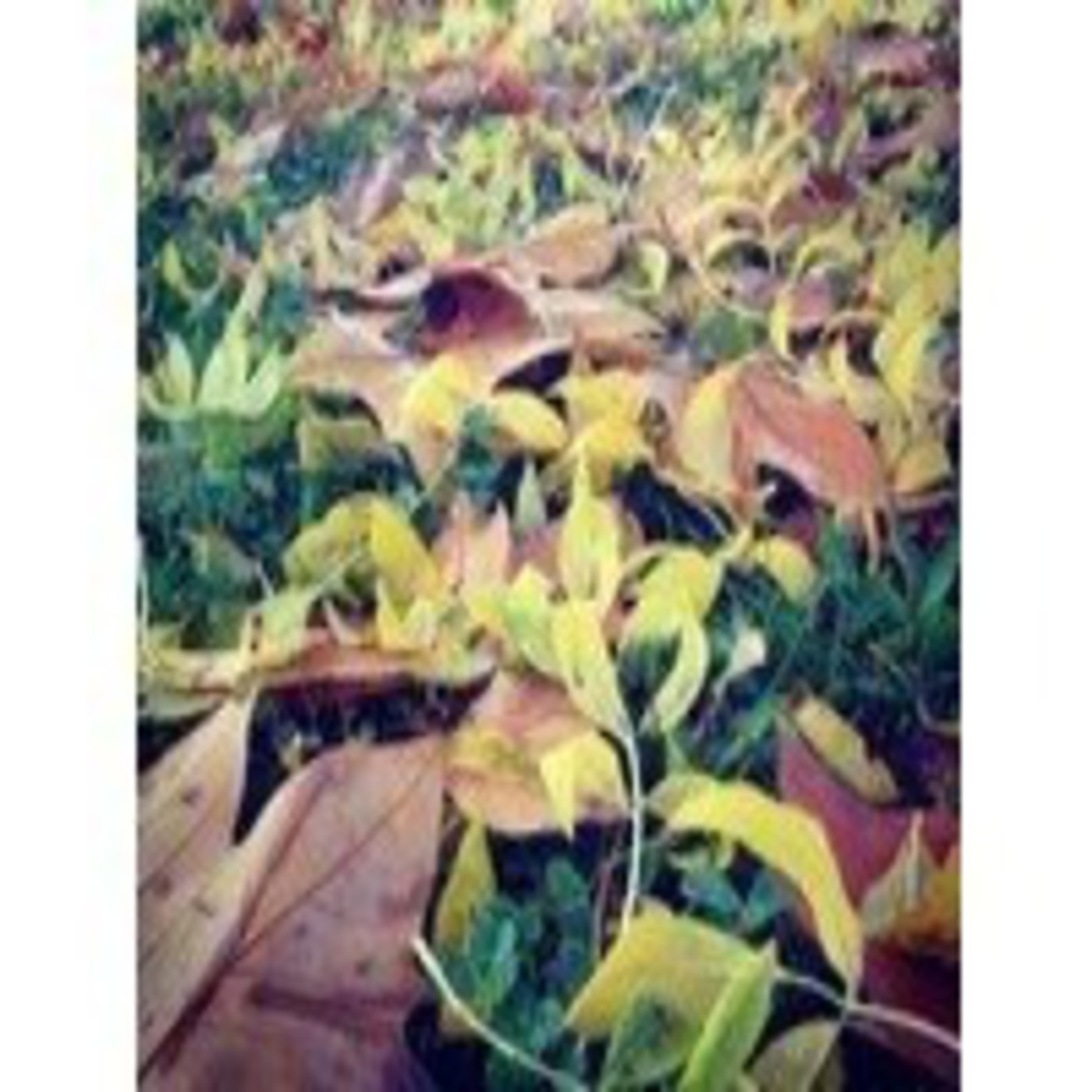 Seguir viviendo - 10/03/14