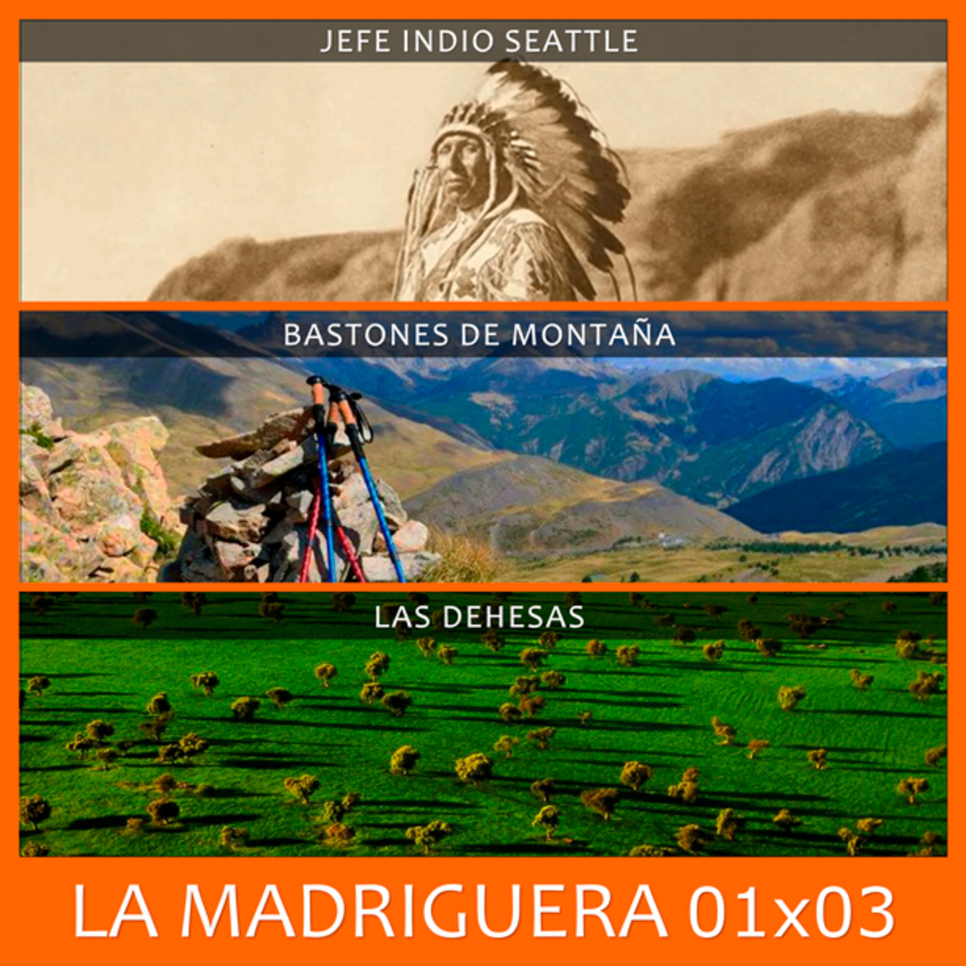 LA MADRIGUERA
