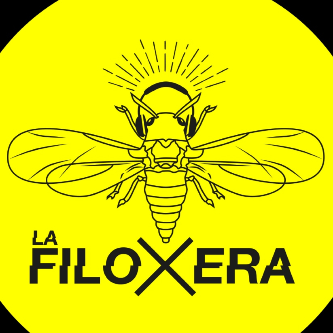 La Filoxera.