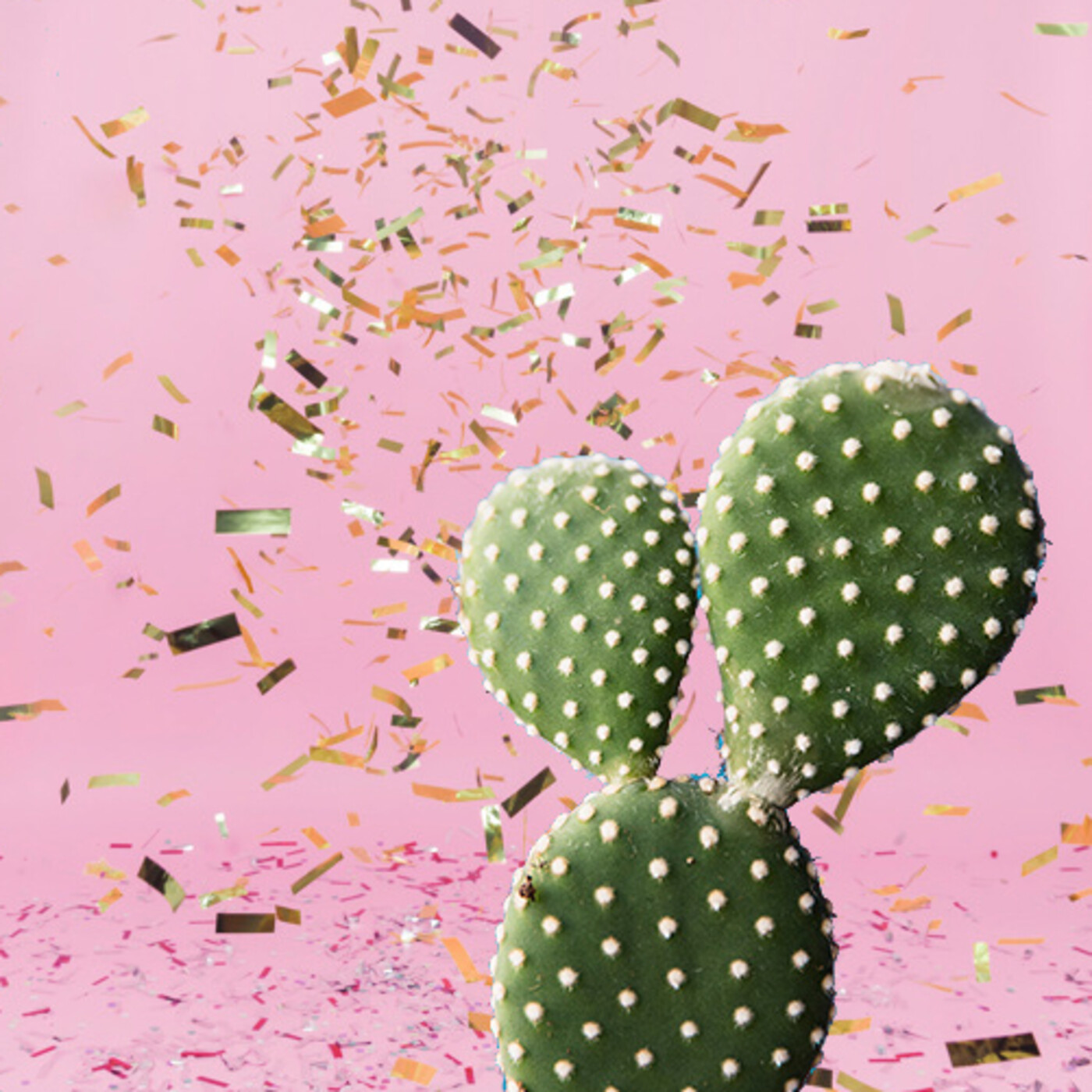 Cactus Confetti