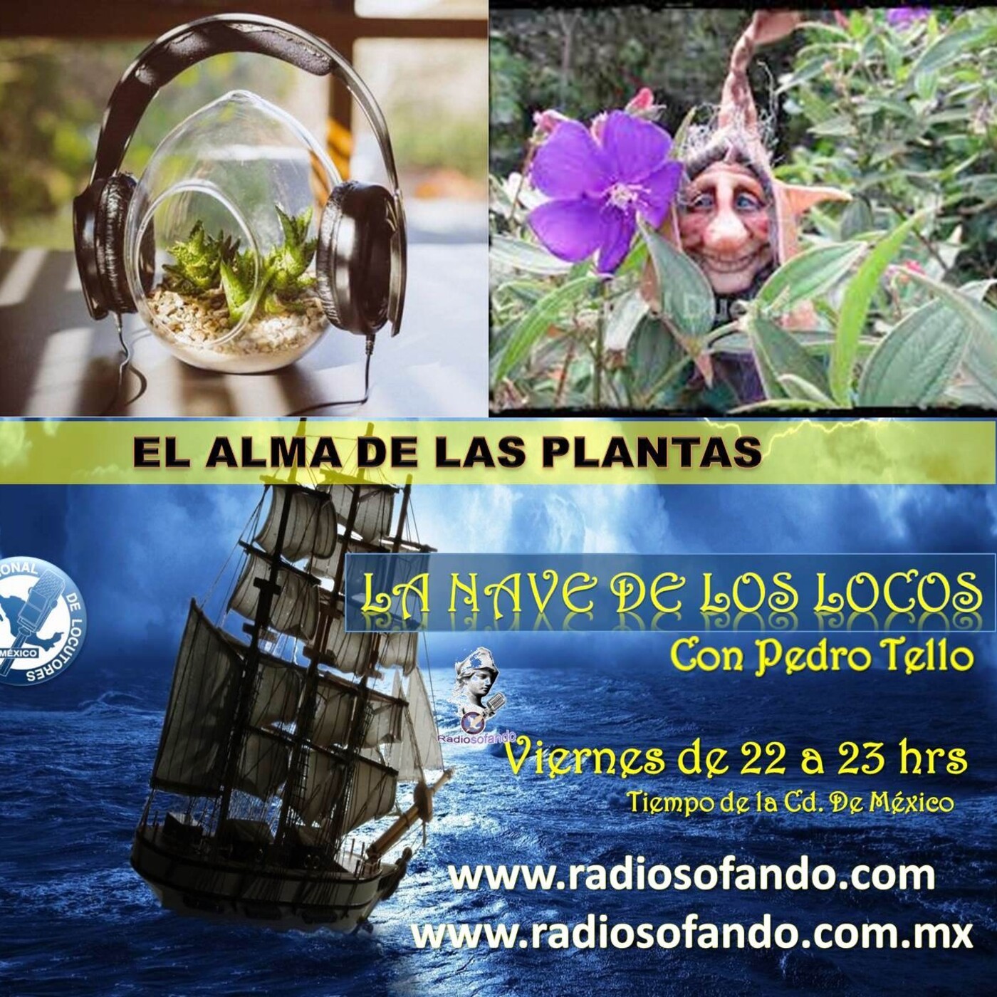 La Nave de los Locos_EL ALMA DE LAS PLANTAS_27-08-21 episode artwork