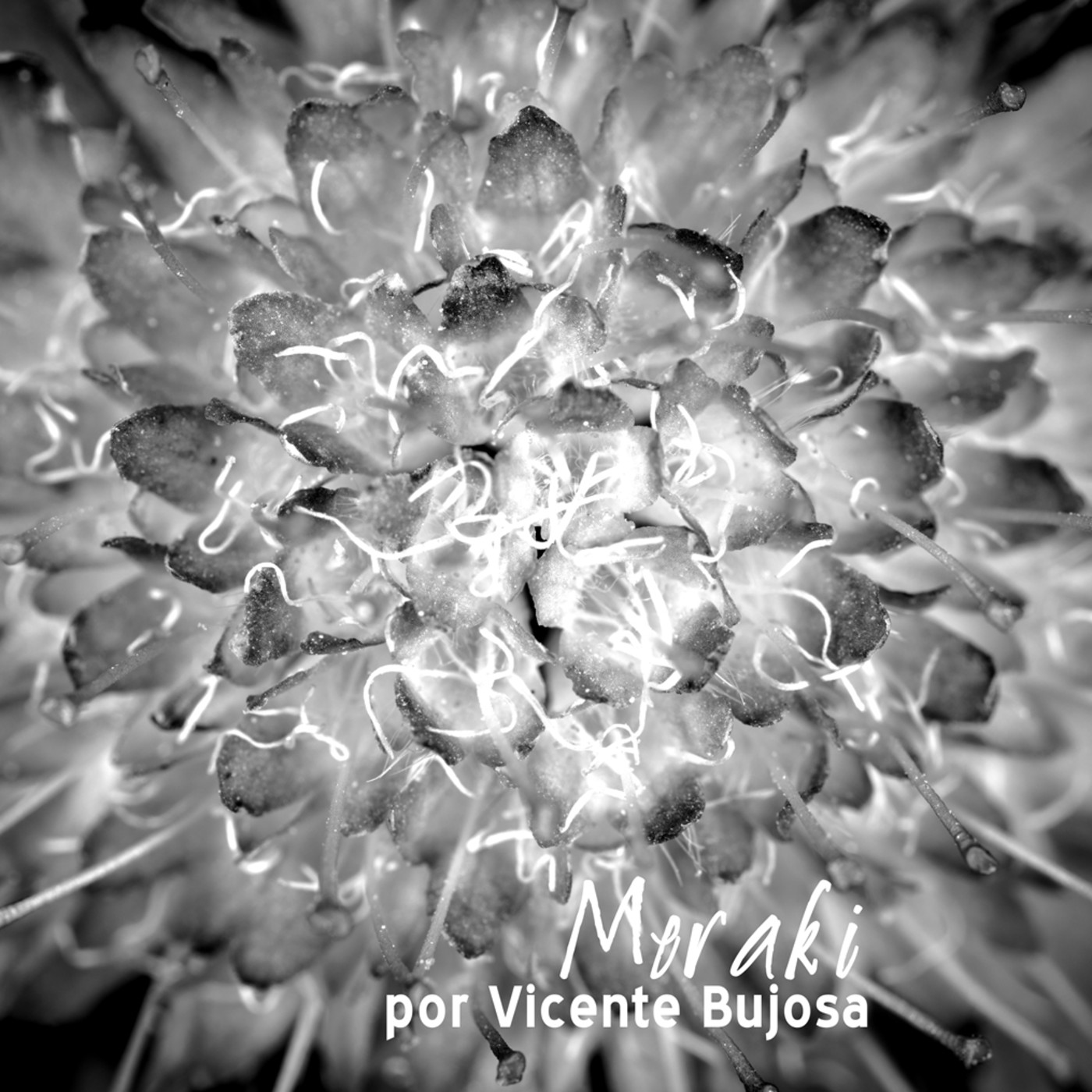 Relatos, narraciones, cuentos infantiles y poemas
