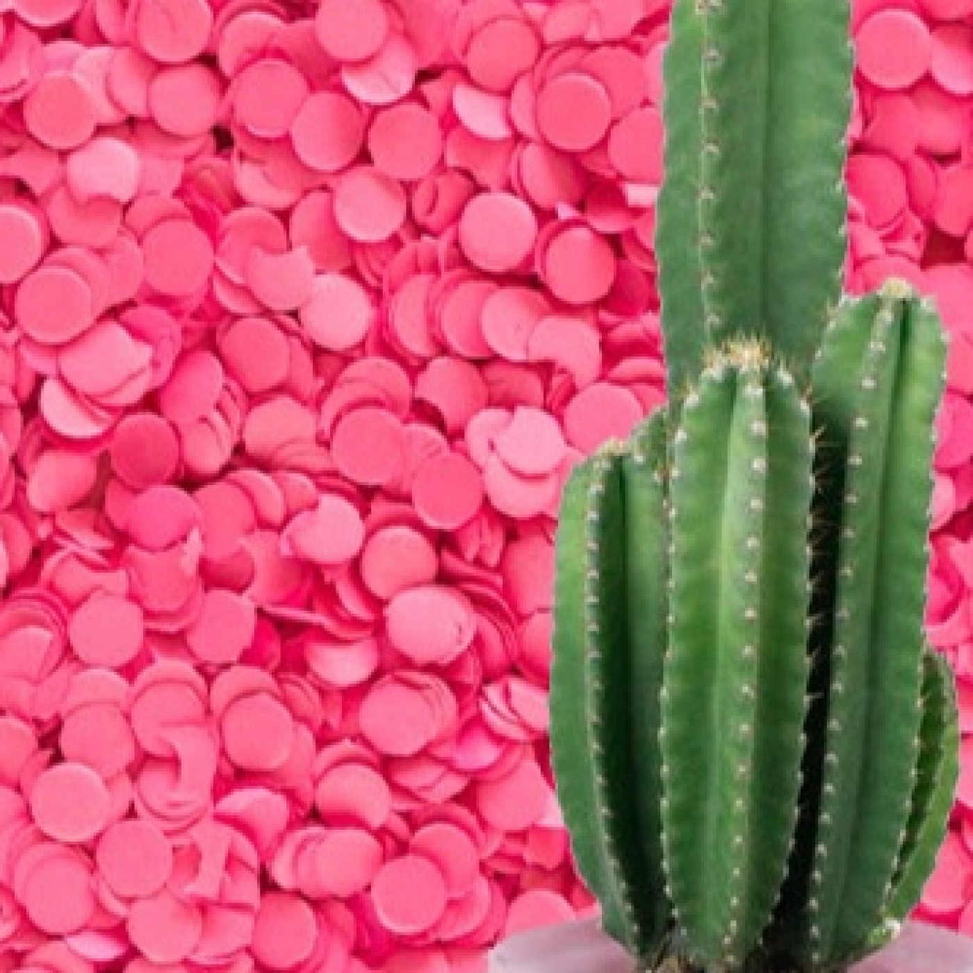 Cactus Confetti