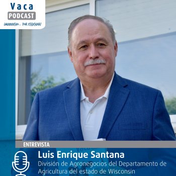 Entrevista a Luis Enrique Santana