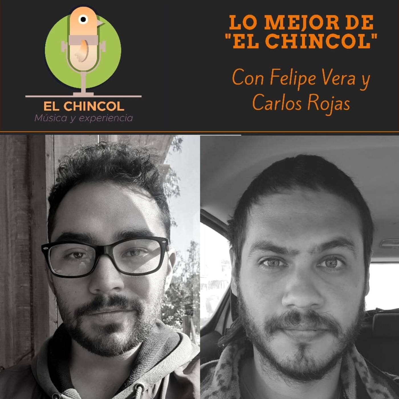 El Chincol
