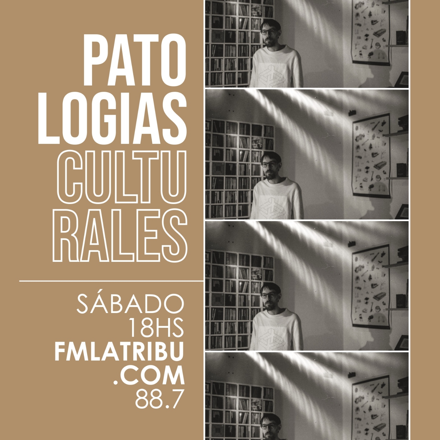Patologías Culturales