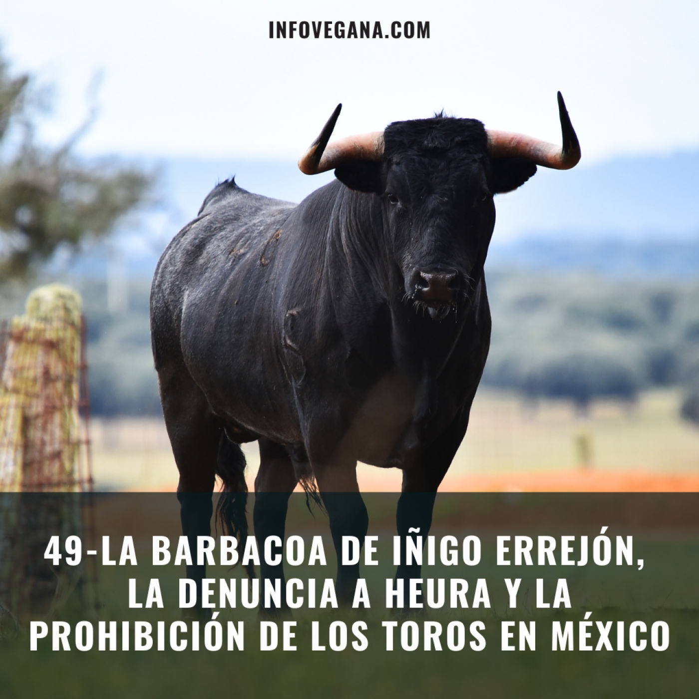 Infovegana, podcast de veganismo y sostenibilidad