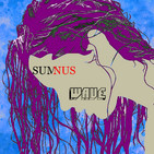 embed image