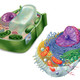 Biologia