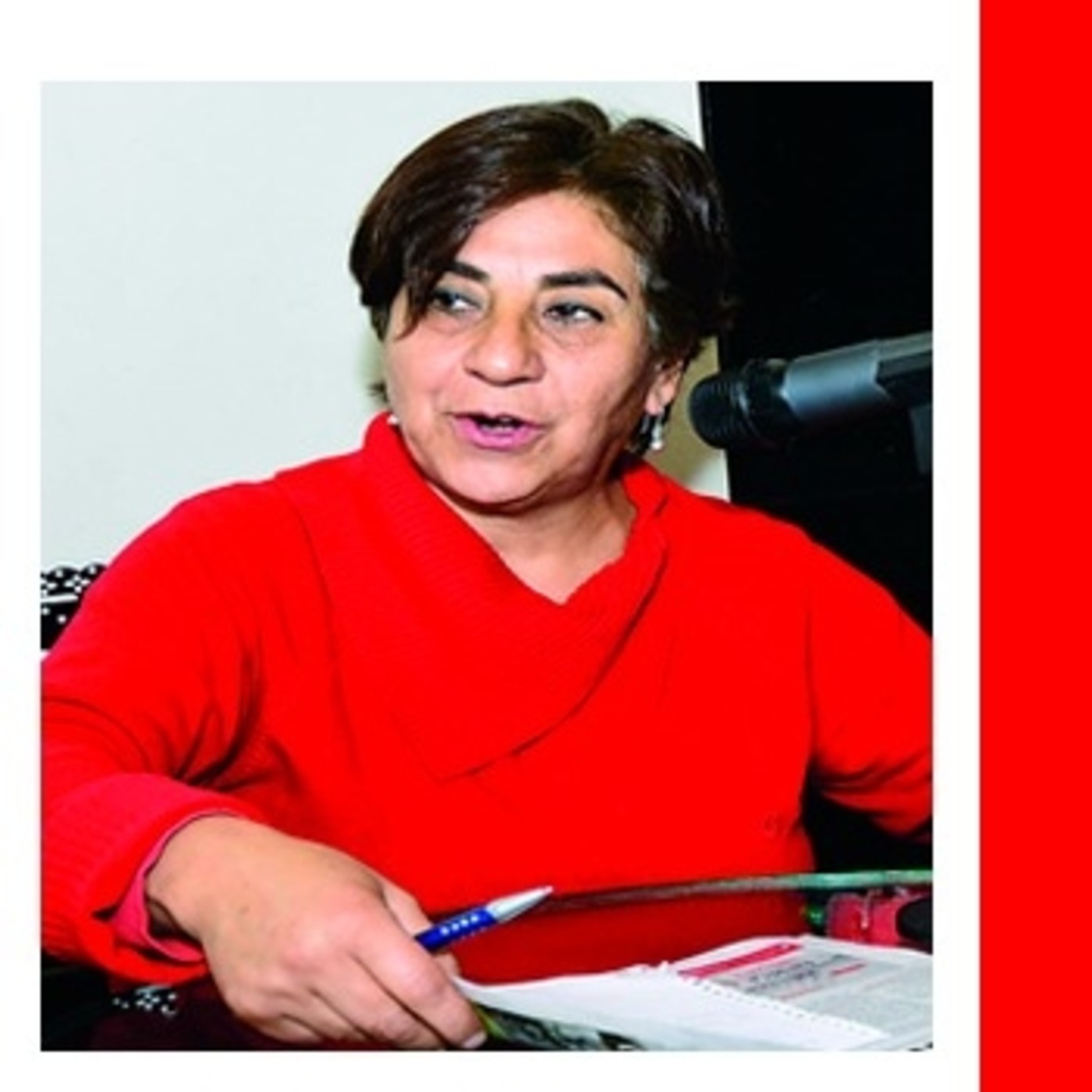 Amalia Pando| La oposición dividida, ¿gana Evo ? Amalia Pando| La oposición dividida, ¿gana Evo ?