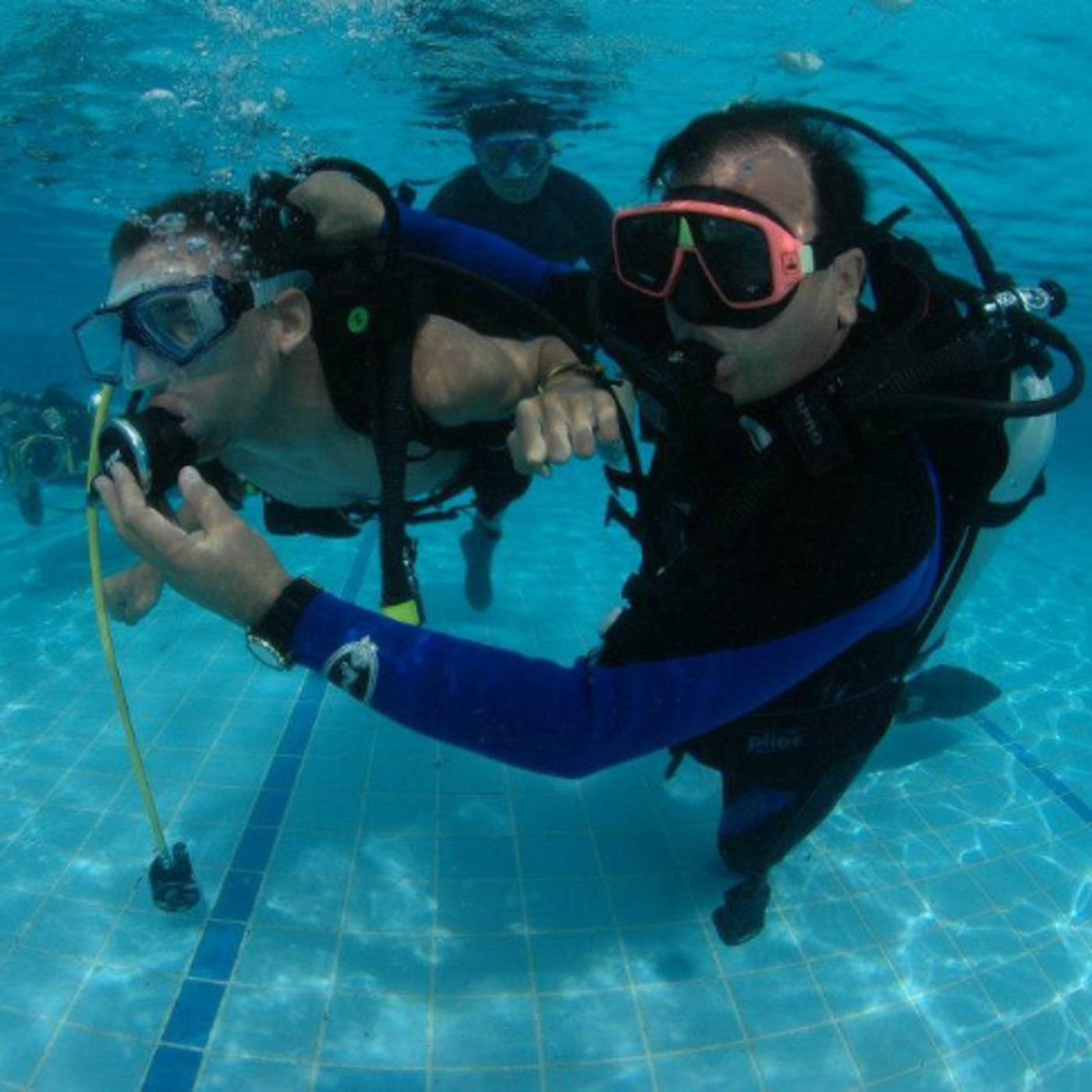 programayolotransformo