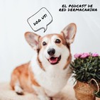 Epi. 1 "Desmontemos mitos: el cuidado de nuestras mascotas" con Guay Guay Amor Canino