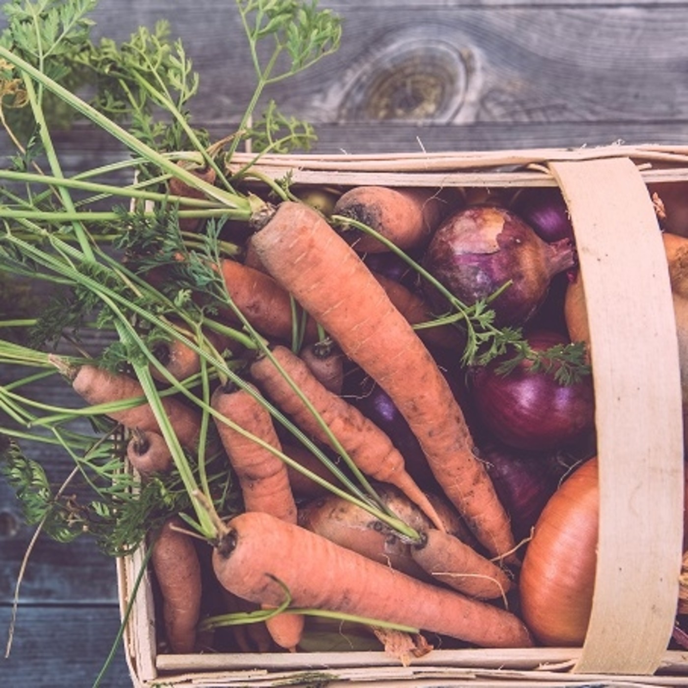 Agricultura Ecológica: análisis sectorial y operaciones M&A Agricultura Ecológica: análisis sectorial y operaciones M&A