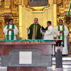 embed image