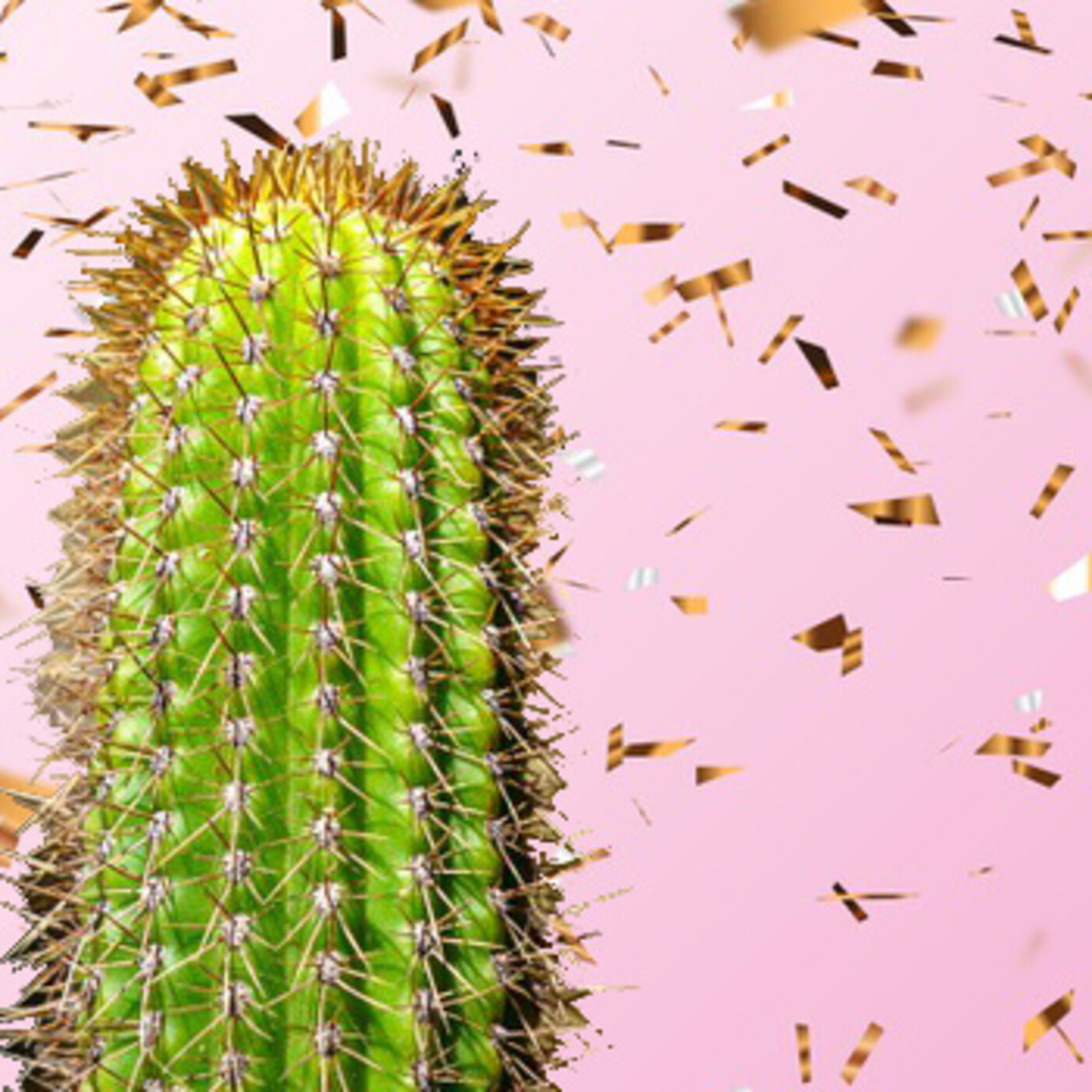 Cactus Confetti