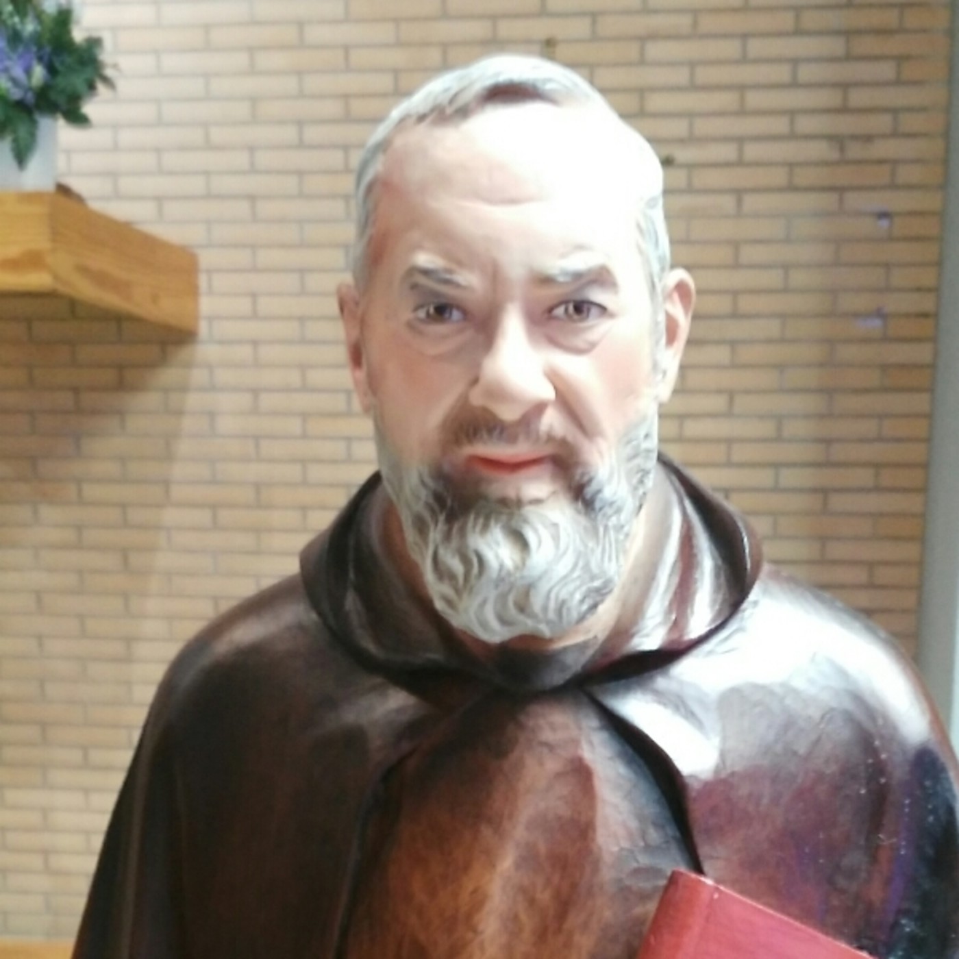 Grupo Oracion Padre Pío Nuestra Señora del Rosario