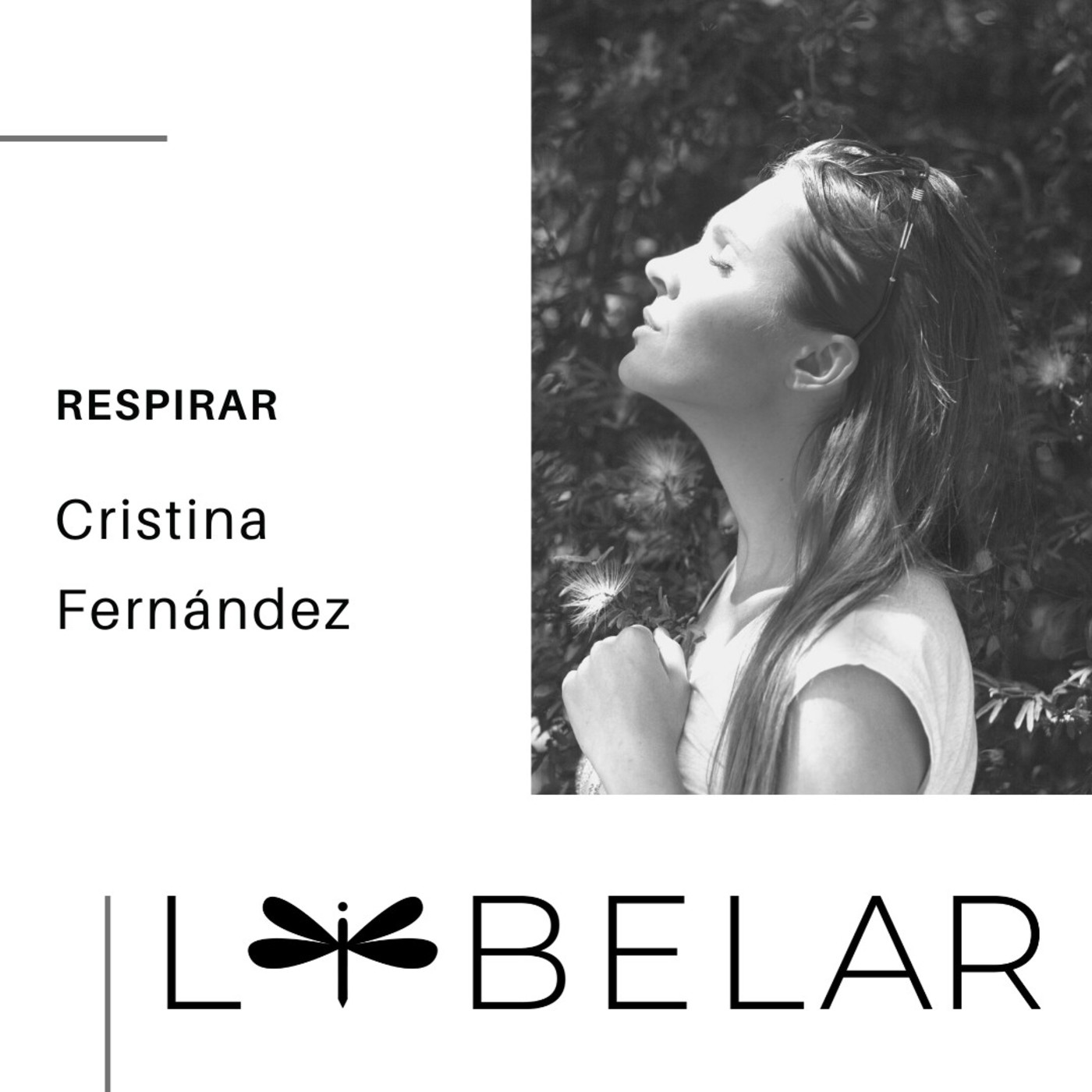 Libelar, vuelan las palabras...