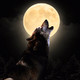 Noche de lobos (15-10-2019)